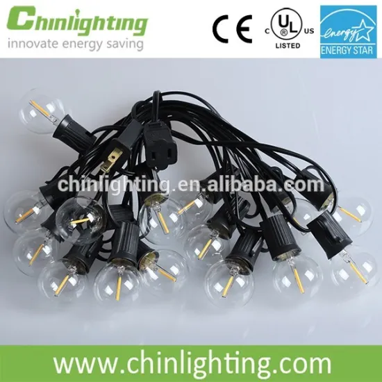 LED Warm White Globe String Lights - Set of 12 G40 Clear LED Bulbs