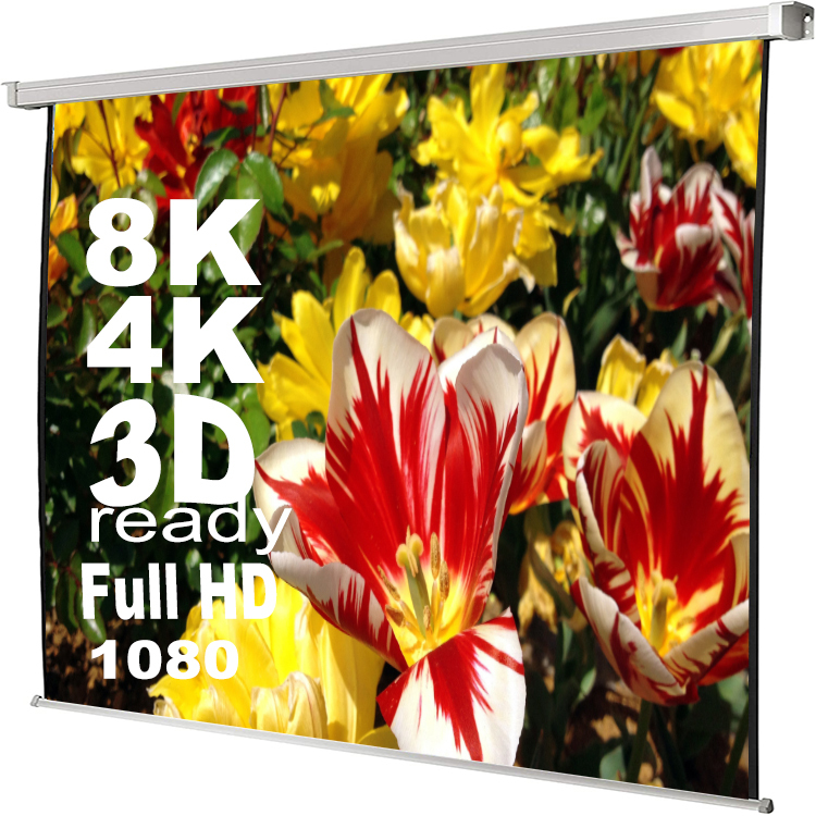 White Professional motorized Electric Projection screen