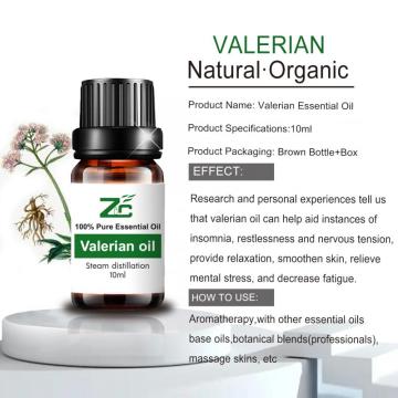 O melhor óleo essencial da Valeriana para aromaterapia da fábrica para aromaterapia