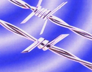 Stainless steel barbed wire