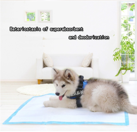 10 pcs pet pad