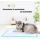 Disposable Puppy Training Pad