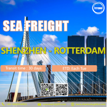 شحن البحر الدولي من شنتشن إلى روتردام هولندا