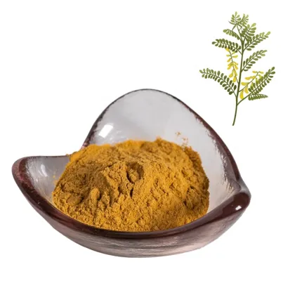 factory supply natural astragalus root extract powder 10:1astragalus membranaceus root extract