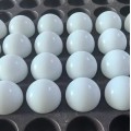 磨き上げられたPTFEプラスチックソリッドボールPTFE