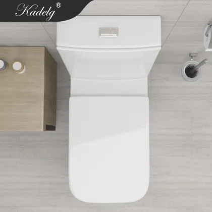 European Style Furniture Washdown Toilet