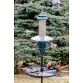 Squirrel Buster Plus Squirrel Proof Bird Feeder