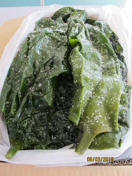 Seaweed Food Salted Kelp Wthout Head