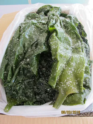 Seaweed Food Salted Kelp Wthout Head