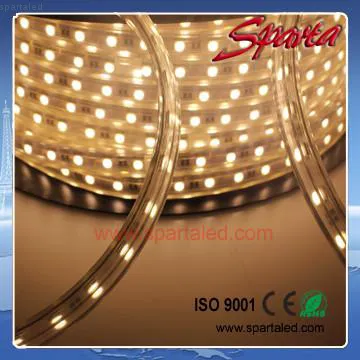Flexible 5050LED Strip  IP68 LED Strip SMD waterproof 220V