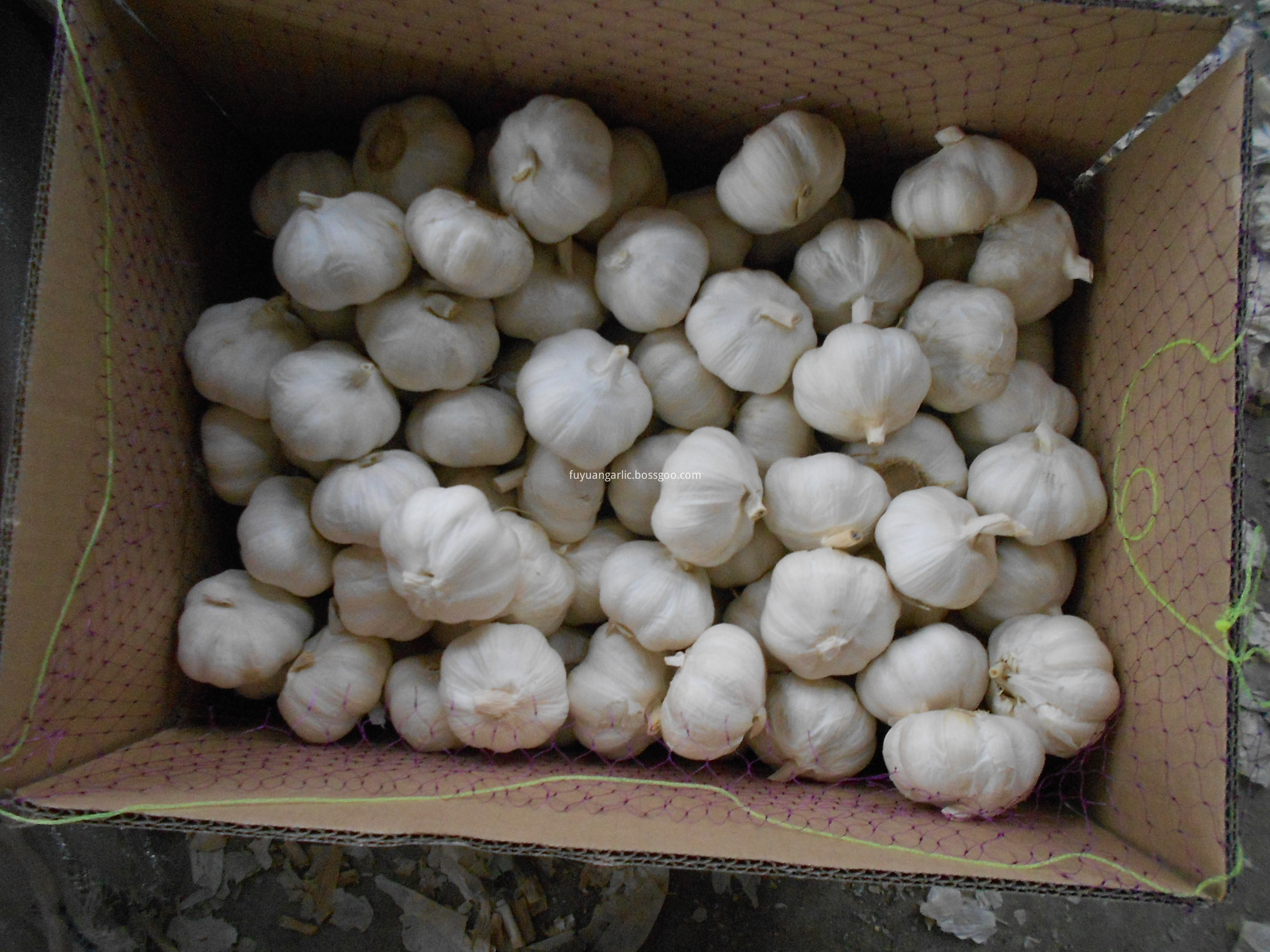 pure white garlic loose carton