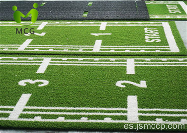 Entrenamiento duradero Sports Turt Stadium Gym Gery Artificial Grass