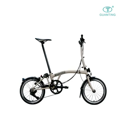 Brompton Folding Bicycle for Urban Commuting