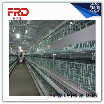 Trade assurance 100% payment guarantee factory price battery cages with long working time