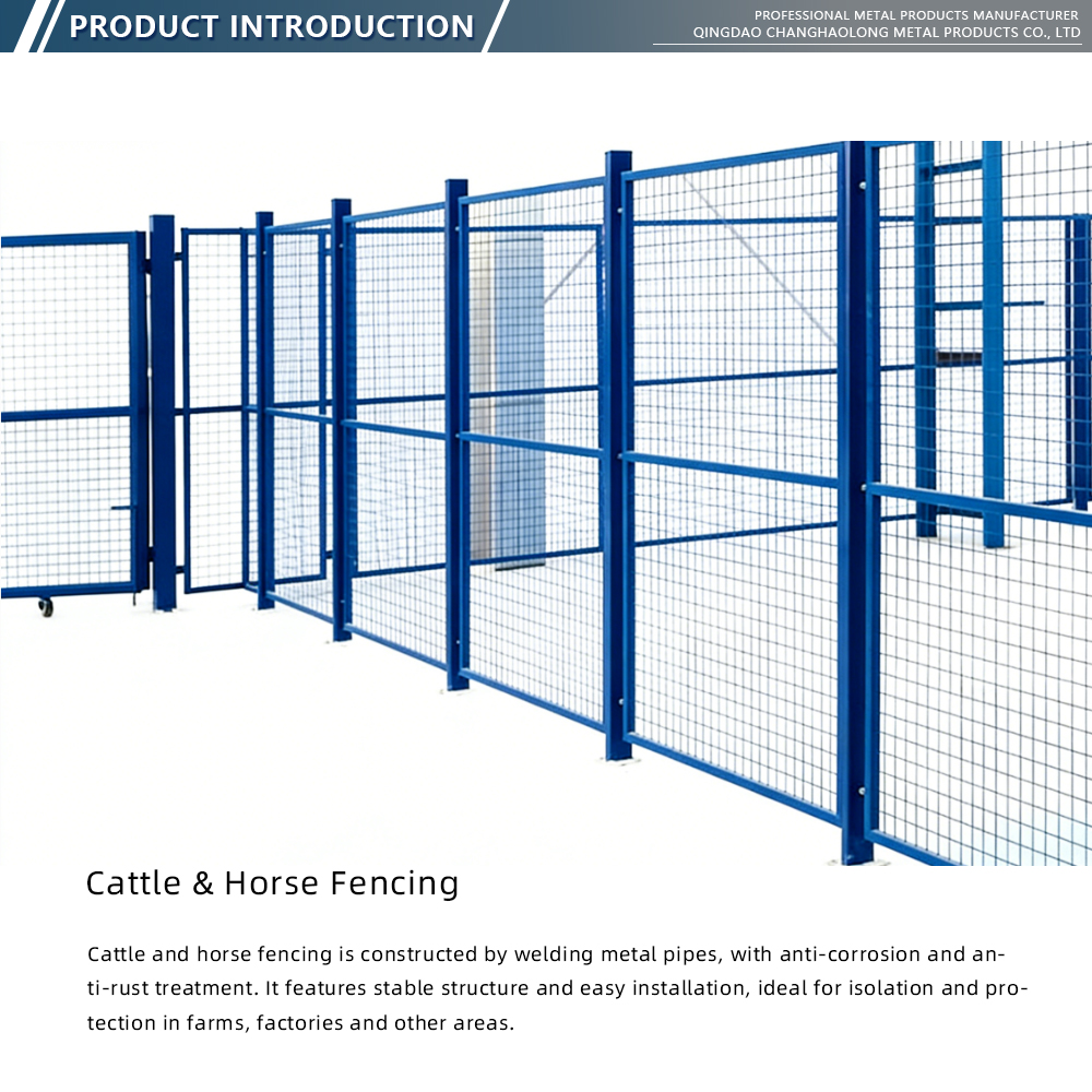 Blue Powder Coated Steel Wire Mesh Partition x