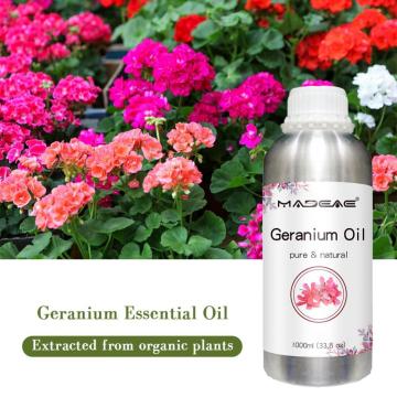 Huile de géranium 100% pure de qualité maximale à bon prix