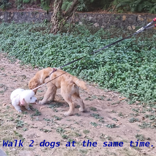 Pet Leash Dual Hooks