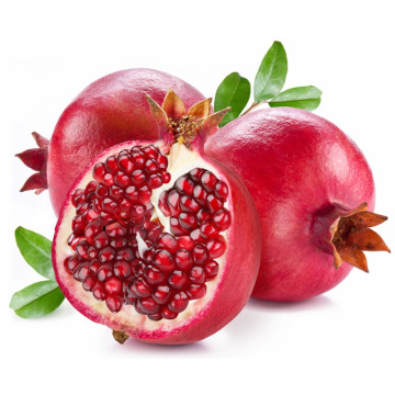 Wholesale naural pomegranate seed oil for cosmetic use
