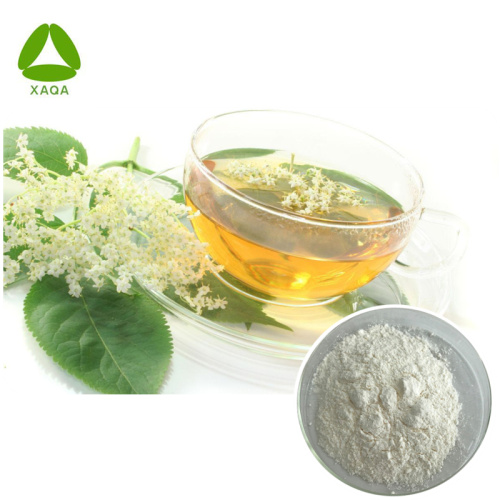 Instant Organic Elderberry Flower Tea Powder
