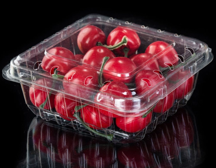 Transparent Blueberry Box Packaging Clamshell