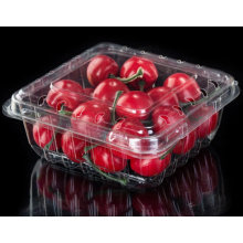 Transparent Blueberry Box Packaging Cleamshell