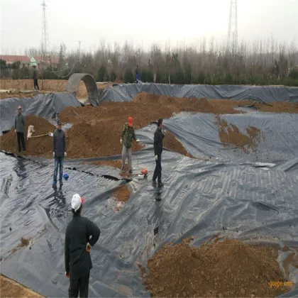 Composite Geomembrane for Artificial Wetland