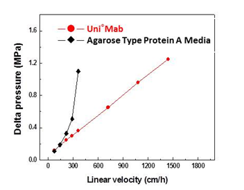 Protein A Separation