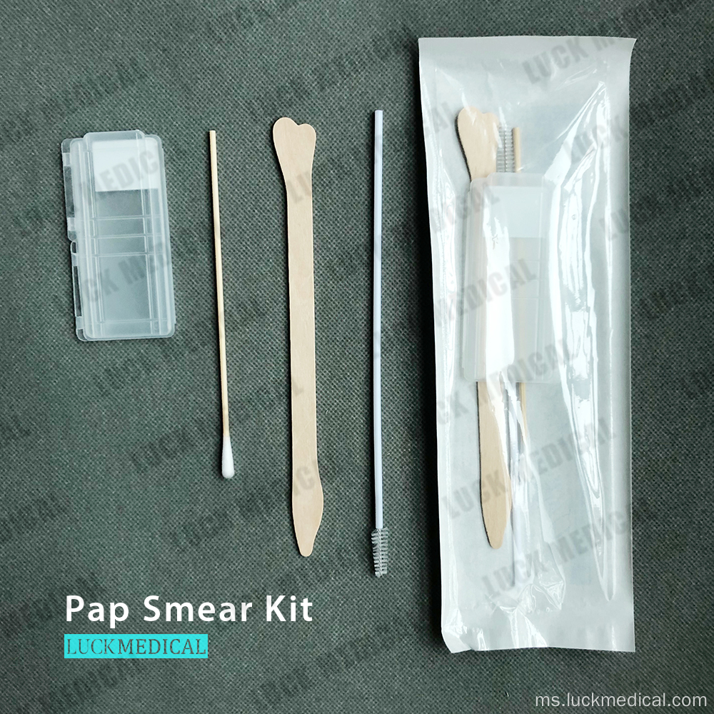 Kit Pap Smear 4 Item