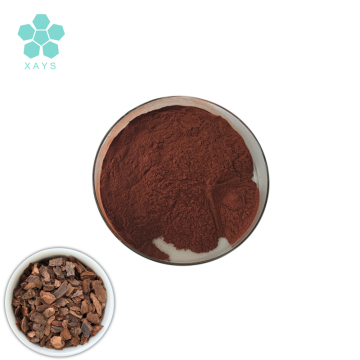 Natural Antioxidant Maritime Pine Extract OPC Powder