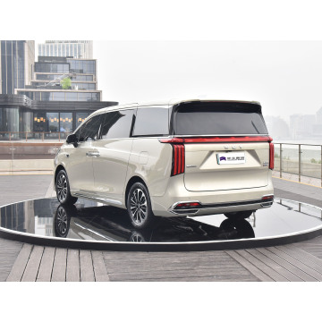 2024 WEY Gaoshan Luxury MPV