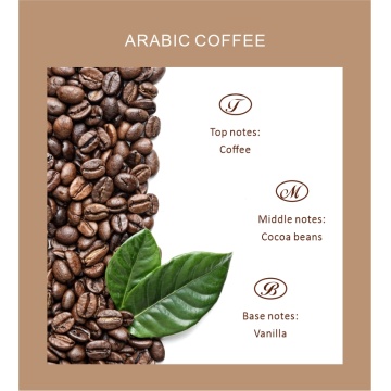 Óleo de aroma de óleo essencial de fragrância de café
