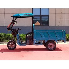 Express Easy Shed Electric Tricycle Zhanlong 160 Edition