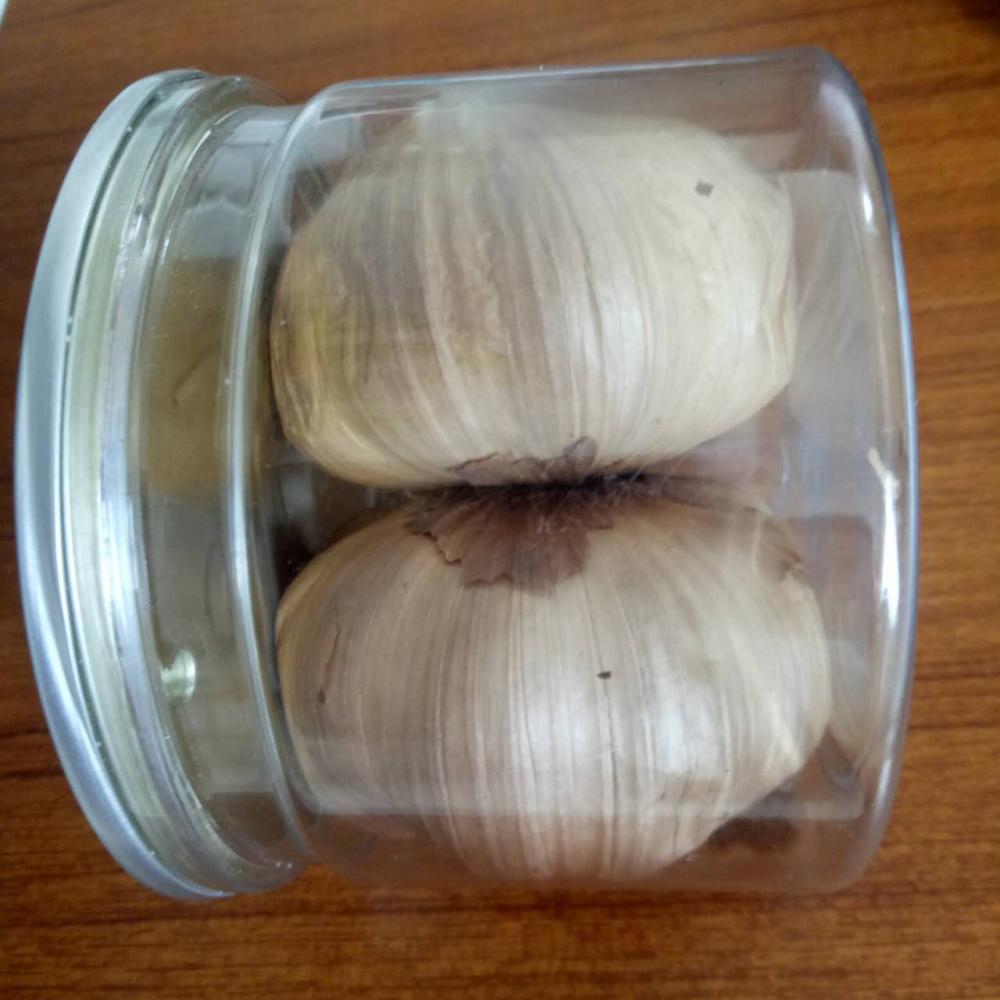 Black Garlic Sold to Chile and Mexico