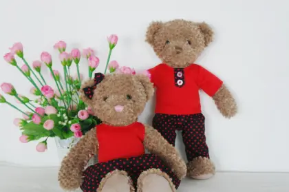 Plush Toys Bear Valentine Day
