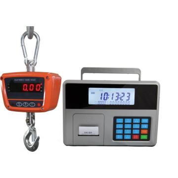 IP 65 waterproof LED digit crane scale