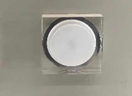 Elevator LED Crystal Downlight