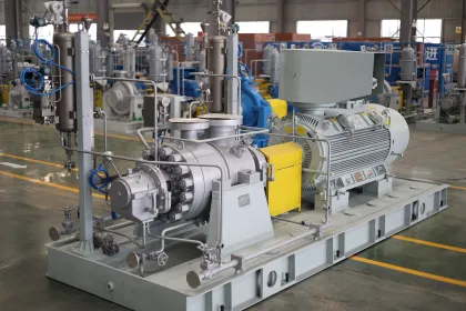 Search Engine Title: NGL Reinjection Pump for Gazprom GPP Project: Optimizing Light Hydrocarbon Handling