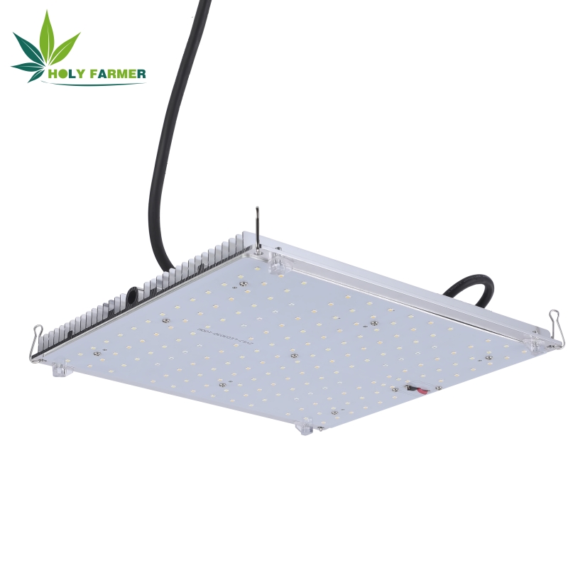 100wledgrowlight7