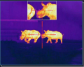 Monokulär termisk infraröd nattseende