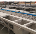 Round Vegetable Roller inspection for salad processing line