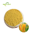 Natural Raw Material Puhuang Extract