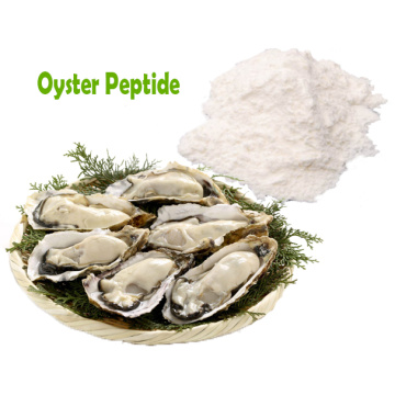 Oyster πεπτιδική πρωτεΐνη σκόνη Oyster εκχύλισμα χύδην τιμή