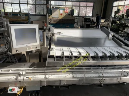 Cost-Effective Automatic Weighing and Packing Machine for Berry Farms