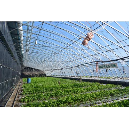 Solar Optic Greenhouse Industry Green House Factory