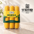 Sladká žlutá vosková kukuřice bez GMO 1,5 kg
