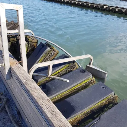 Hexagonal Flipped Farm Basket System Hexagonal Oyster Basket