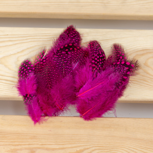 Peacock feather craft ideas