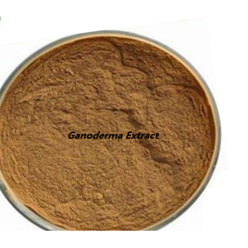 Factory Price Ganoderma Oral Liquid Extract Pregnancy