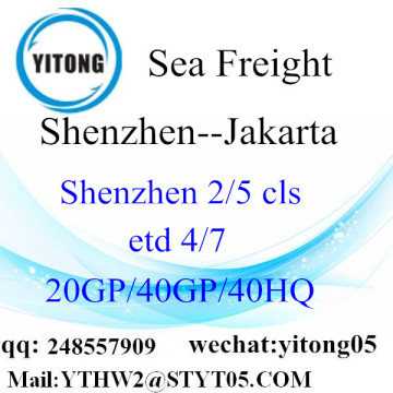 Shenzhen Ocean Freight to Jakarta