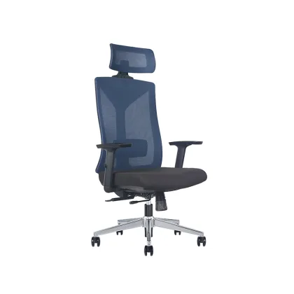 Foshan Hot Sale Ergonomic Office Chair